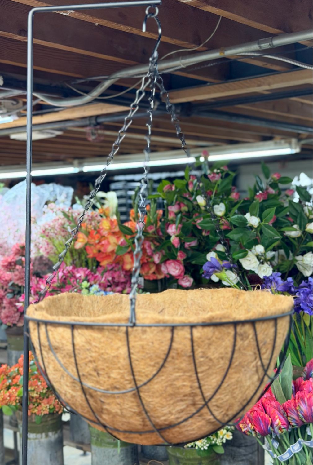 Hanging Basket with Coconut Lining