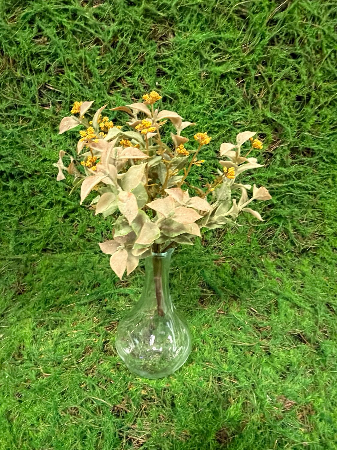 11" Mustard Harvest Harmony Bush