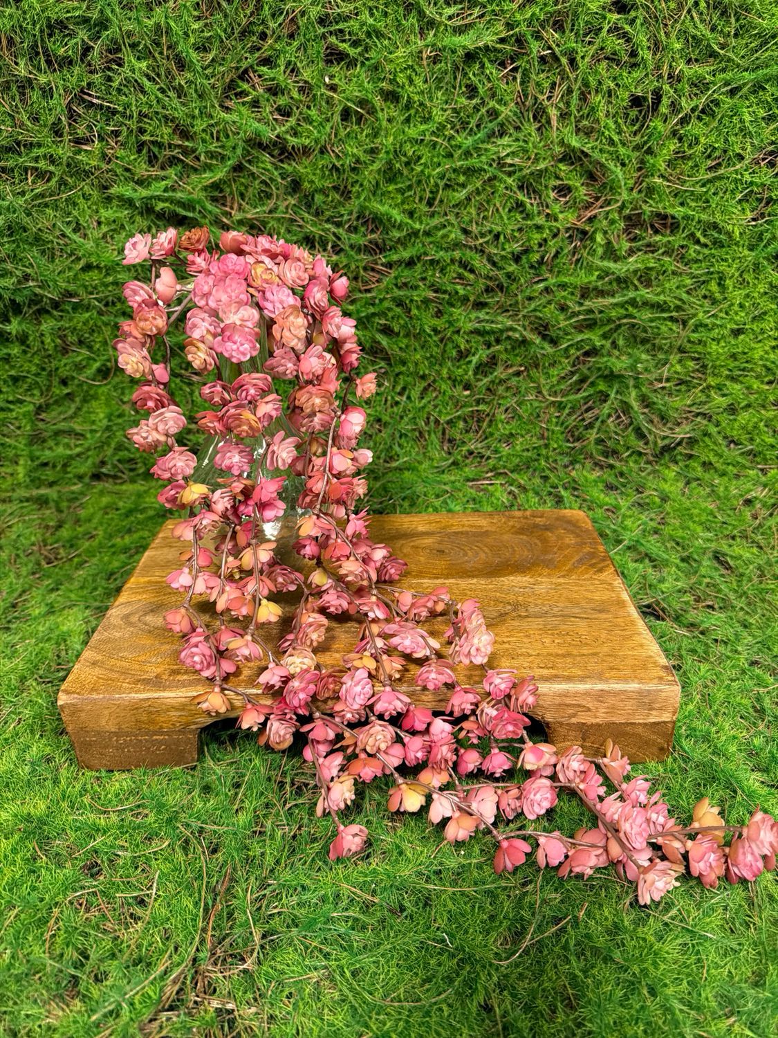 22" Pink Fresh Touch Fountain Succulent Vine