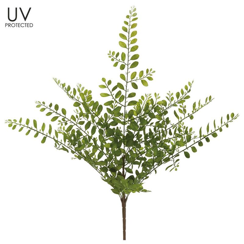 UV Black Locust Leaf