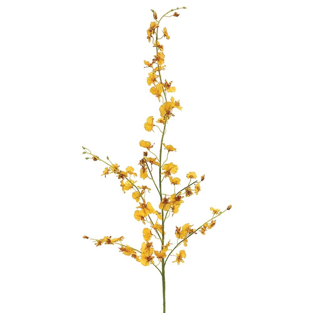 40" Yellow New Dancing Orchid