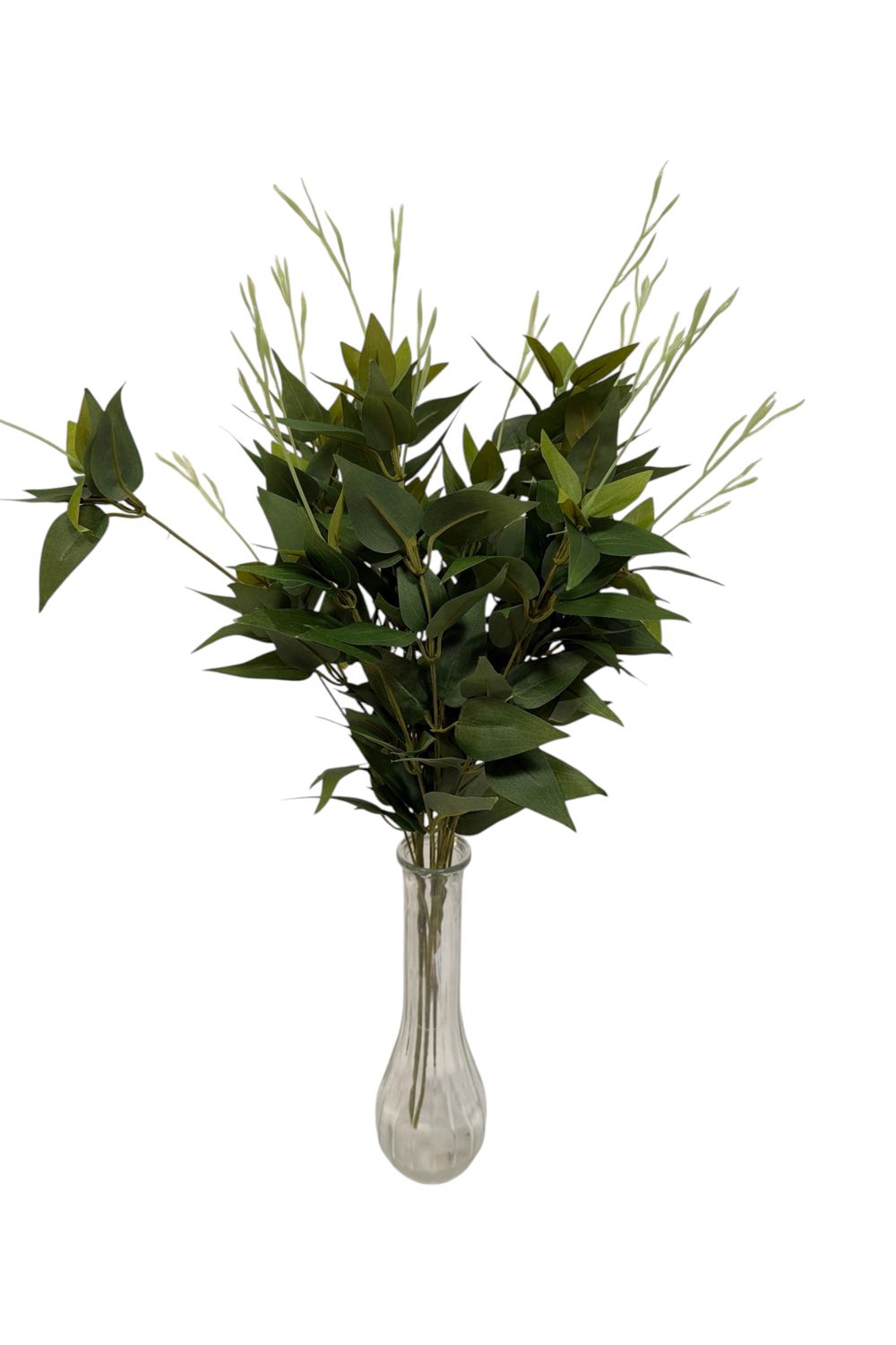 23" Green Jasmine Bush