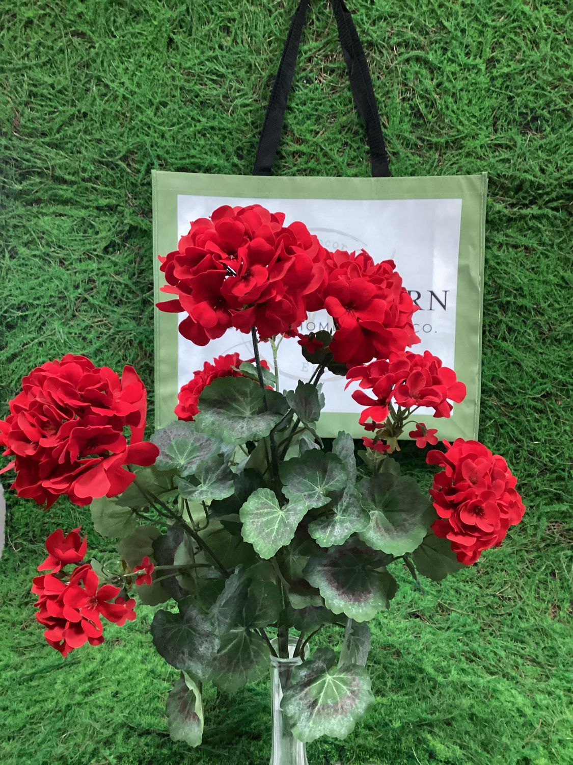 24" UV Red Geranium Bush