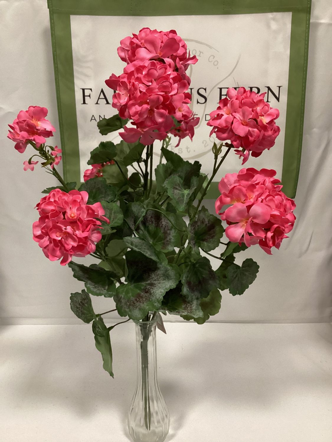 24" UV Pink Geranium Bush