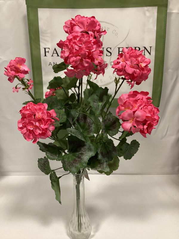 24" UV Pink Geranium Bush