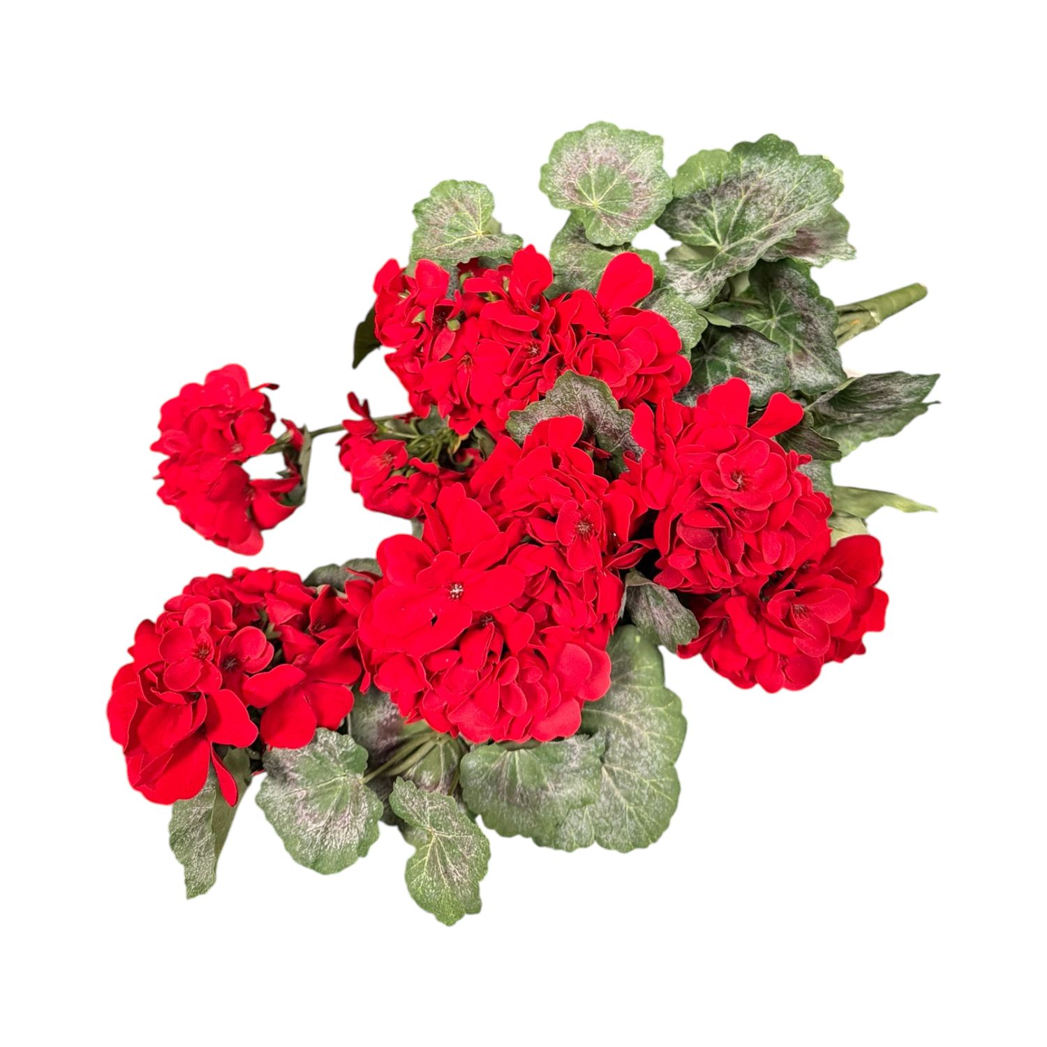 22" UV Protected Red Hanging Geranium Bush