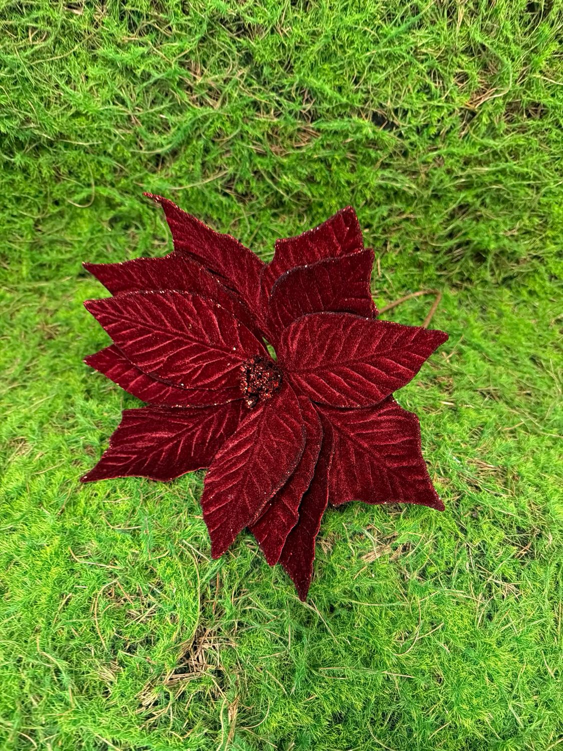 20 Inch Red Poinsettia Stem