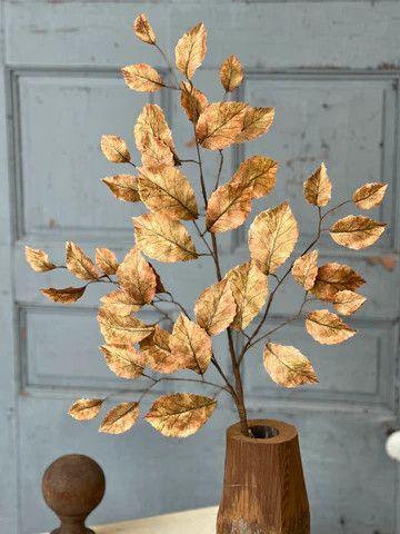35" Spectator Stems | Spice