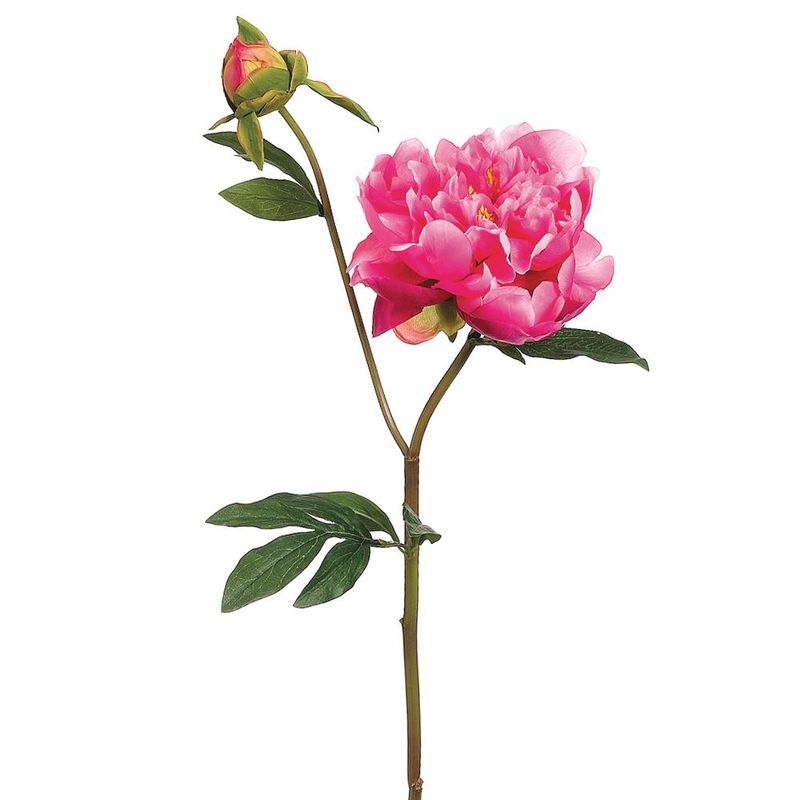 25" Mauve Peony Spray with Bud