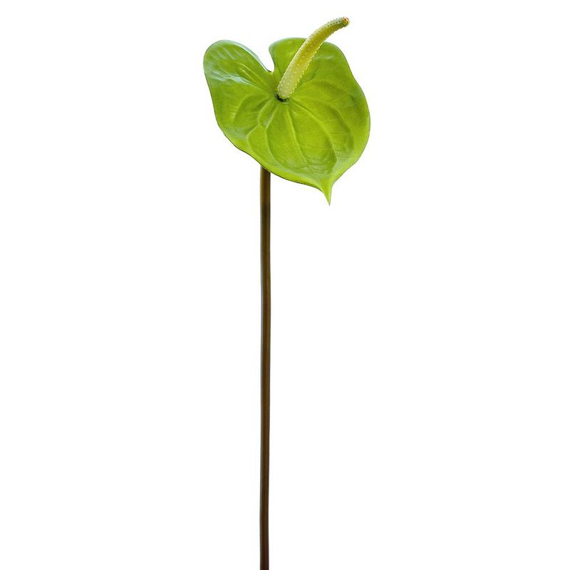 21" Green Anthurium Spray
