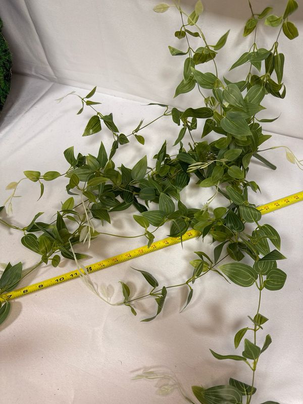 41" Hanging Tradescantia Plant
