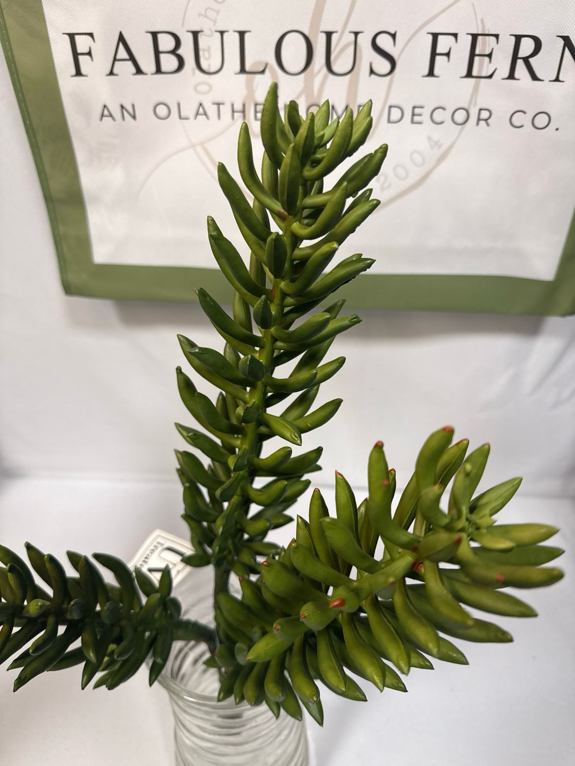 20" UV Brush Succulent Plant