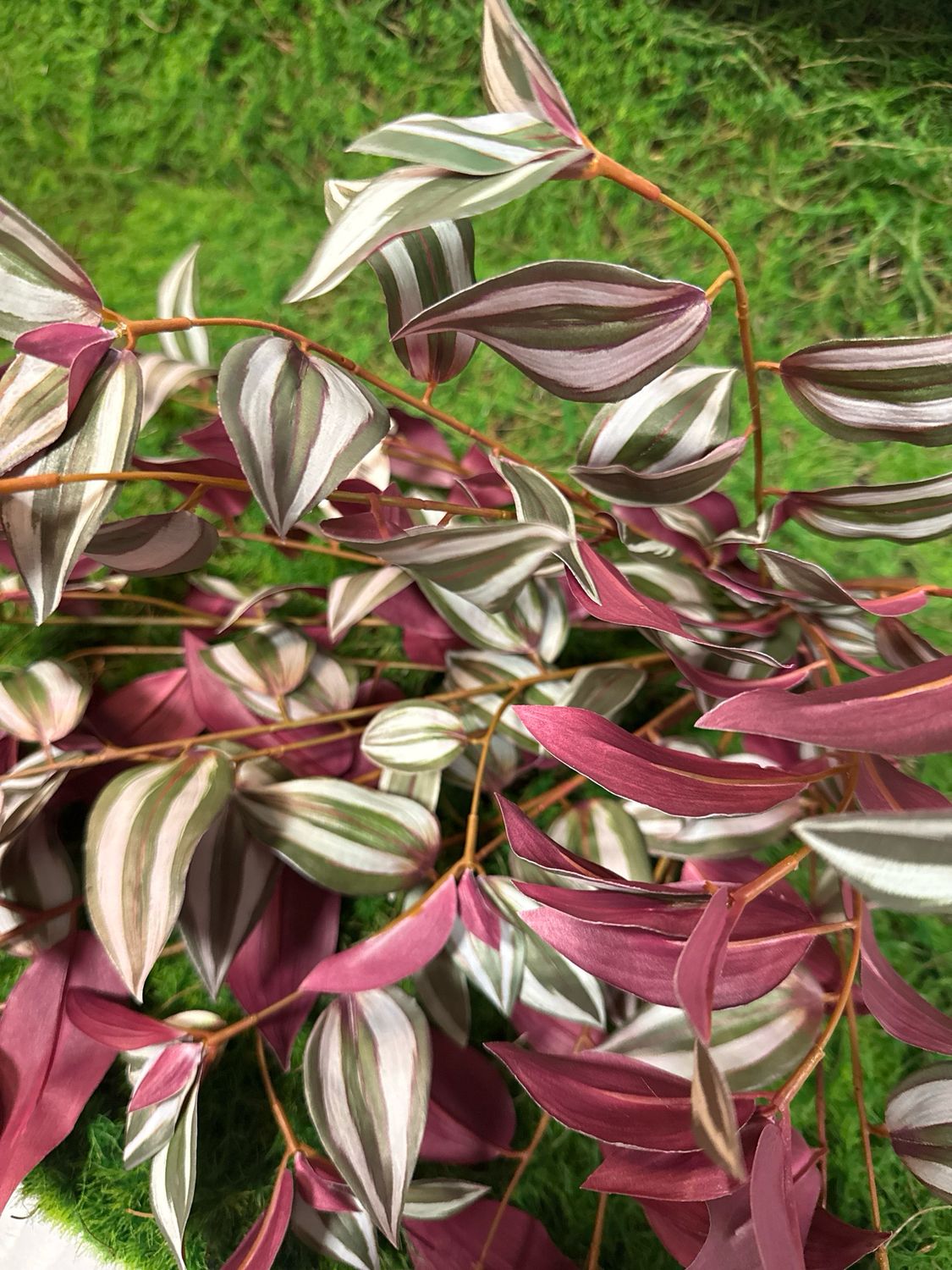 31" UV Natural Touch Hanging Tradescantia