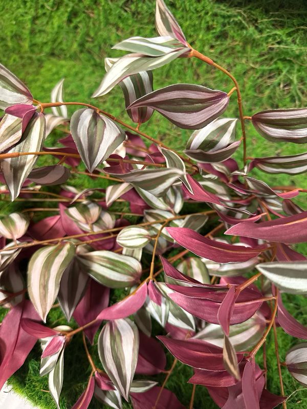 31" UV Natural Touch Hanging Tradescantia