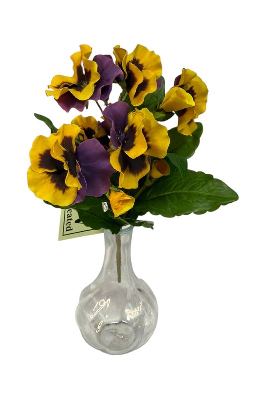 10.5" UV Protected Pansy Plant