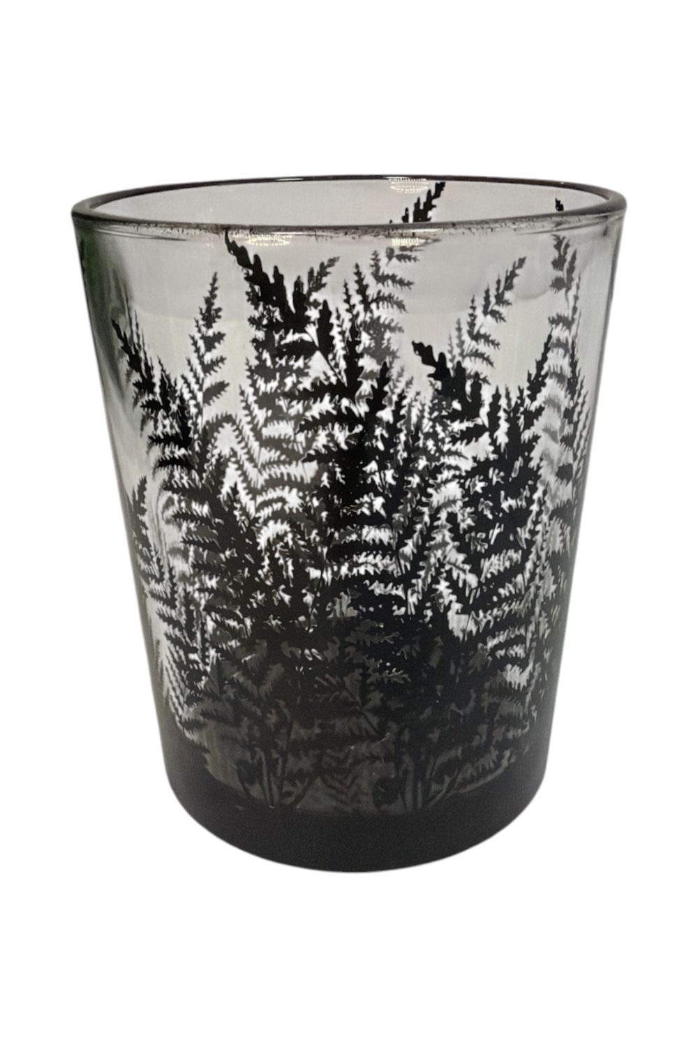 Black Glass Fern Container 5"H
