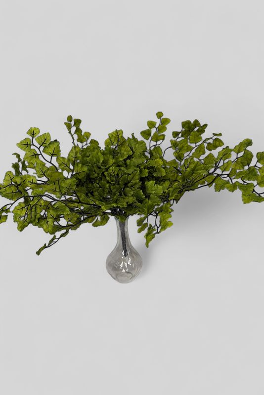 UV Green Maidenhair Fern