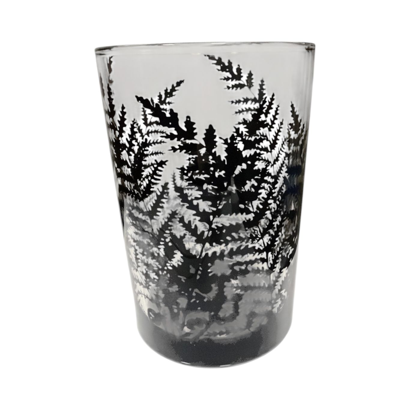Black Glass Fern Container 7"H