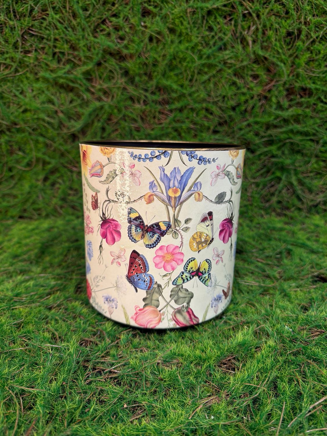 Botanical Flight Container 6” H