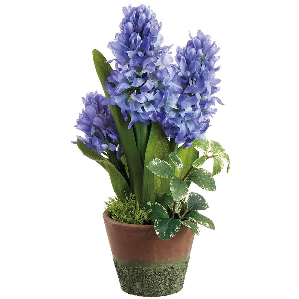 11" Lavender Hyacinth in Cement Pot