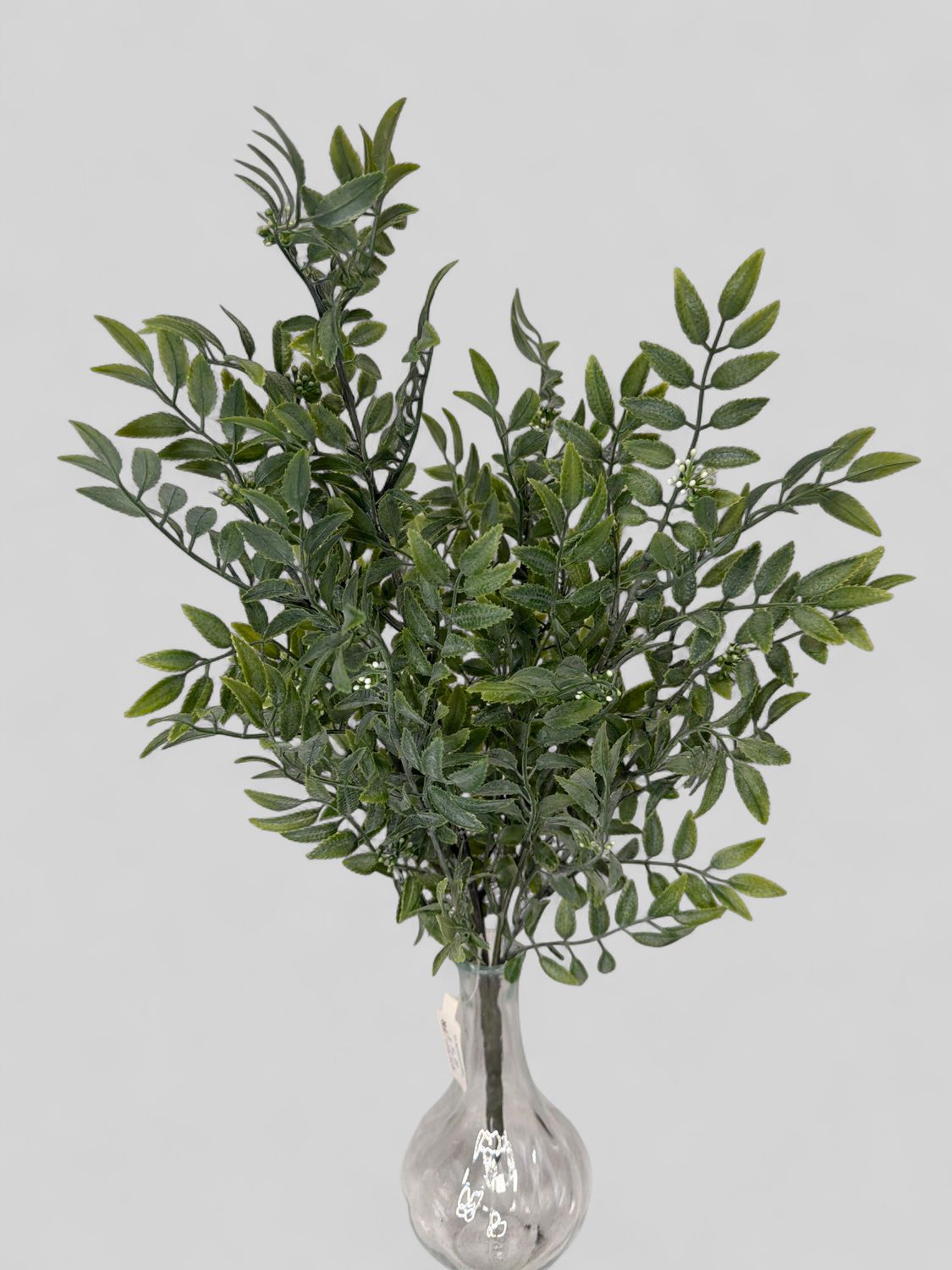 21" Green Ruscus Bush