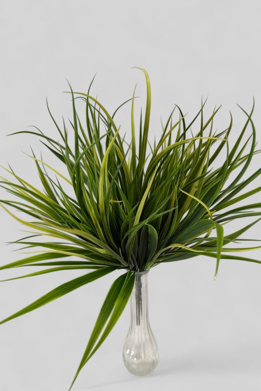 Green Variegated Grass Pick