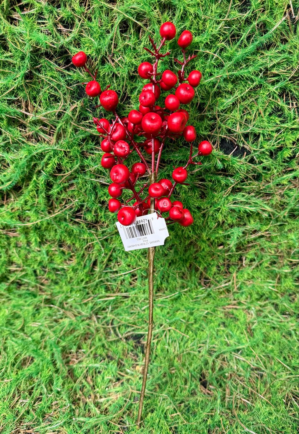 12" Ruby Rushberry Pick