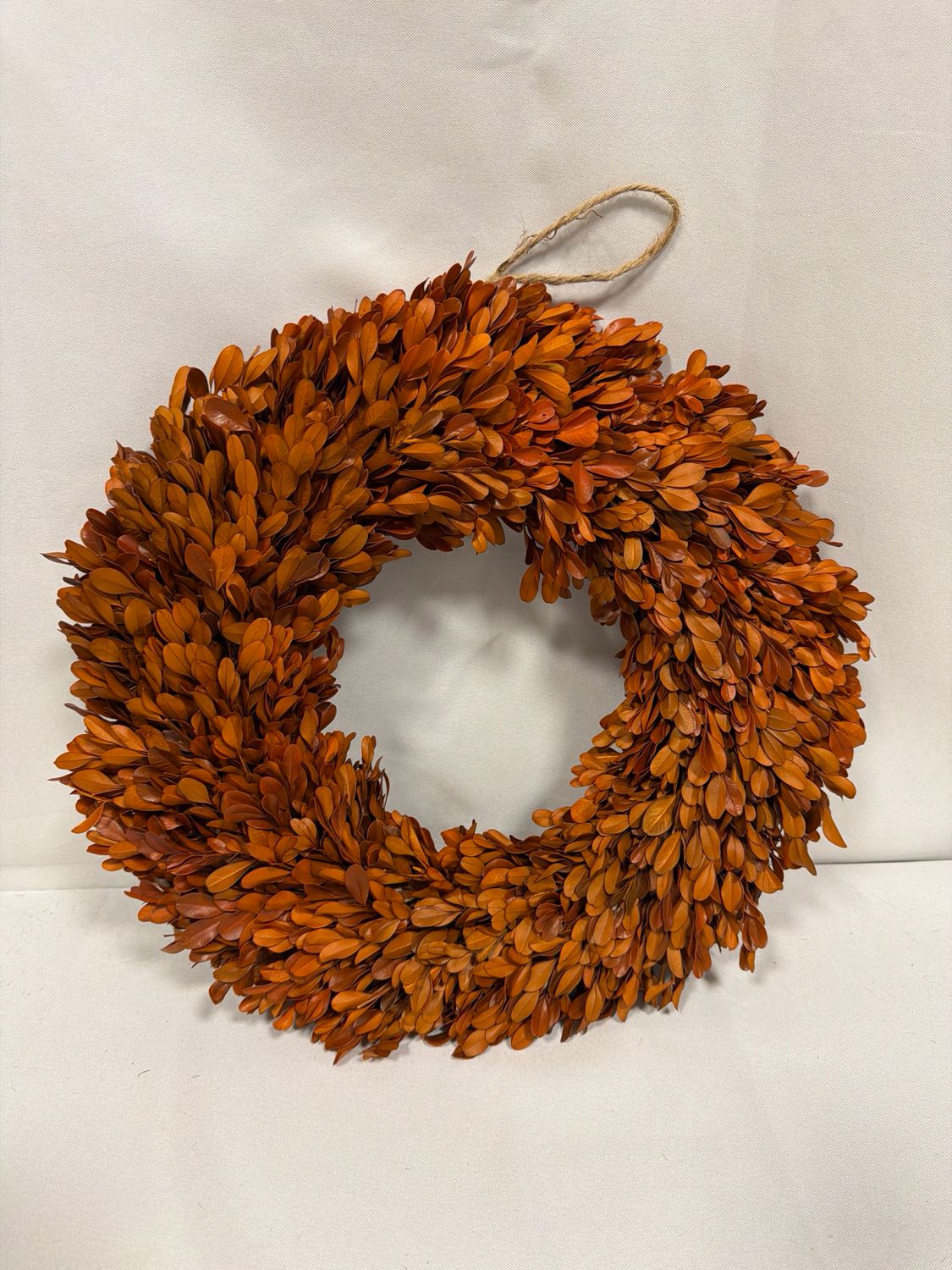 16" Orange Preserved Boxwood Wreath