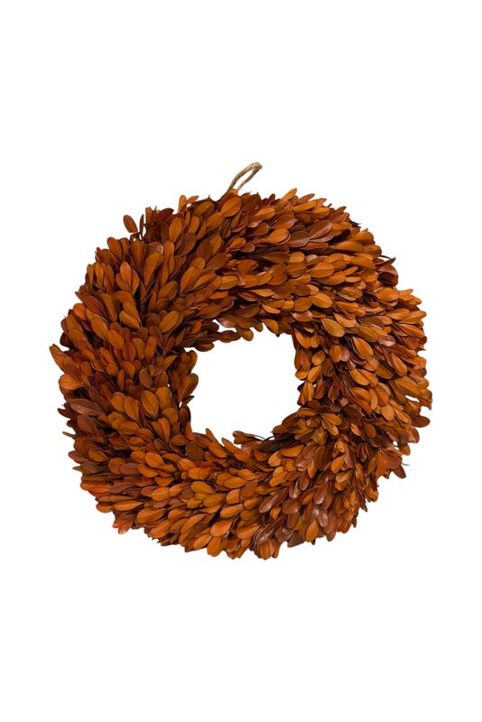 12" Orange Preserved Boxwood Wreath