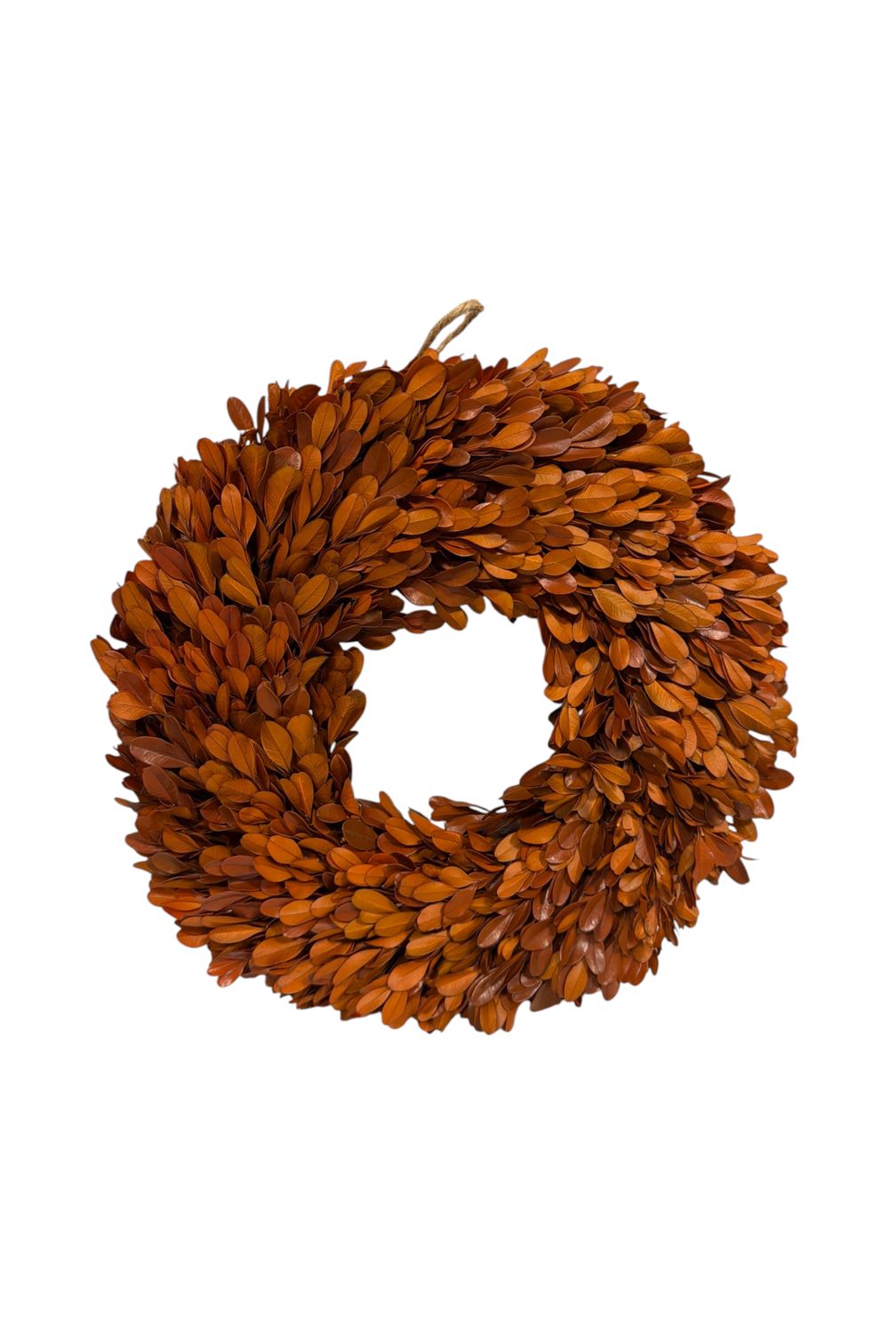 12" Orange Preserved Boxwood Wreath