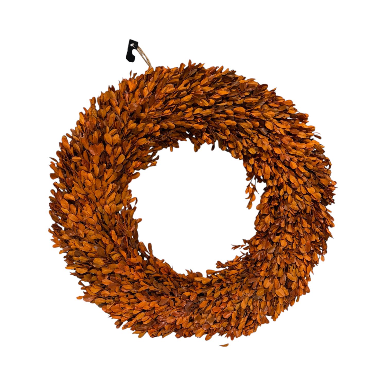 23" Orange Preserved Boxwood Wreath
