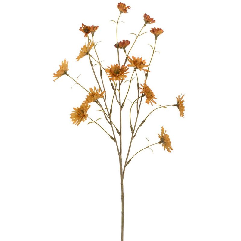 24" Primula Spray  Amber
