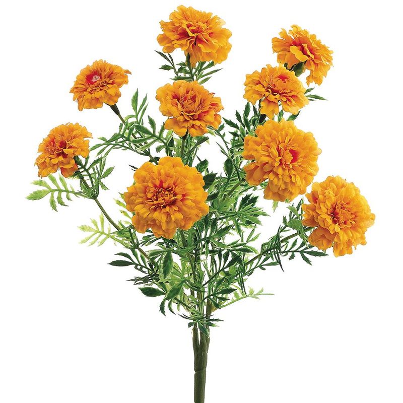 13" Yellow Orange Marigold Bush