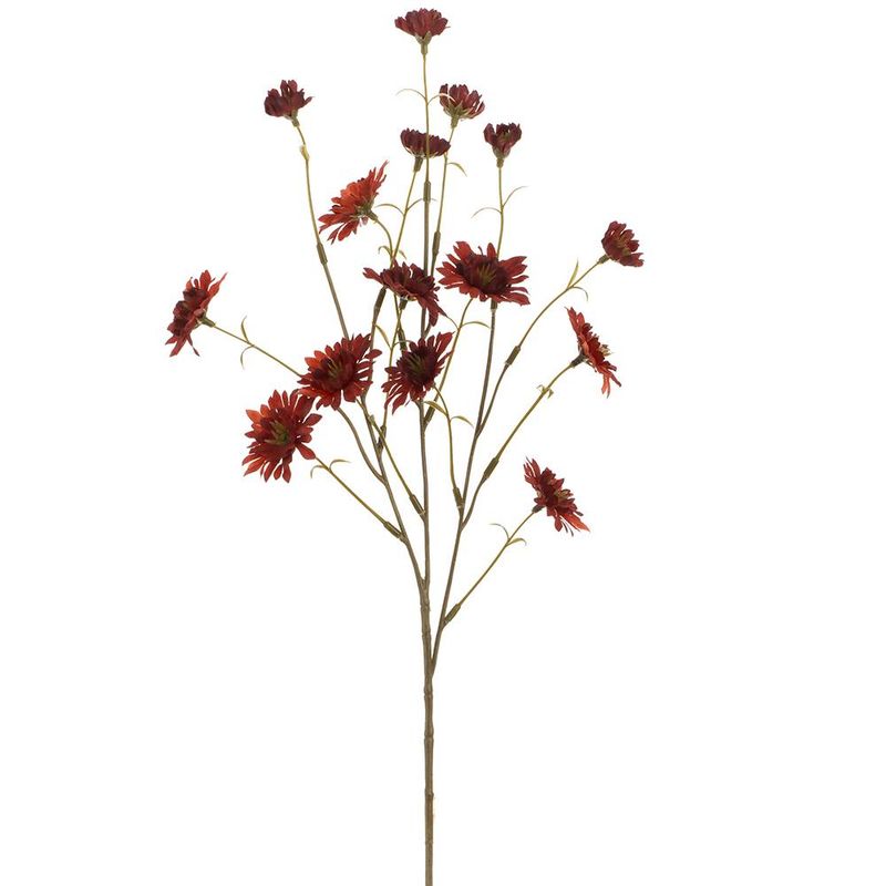 24" Dusty Mahogany Primula Spray