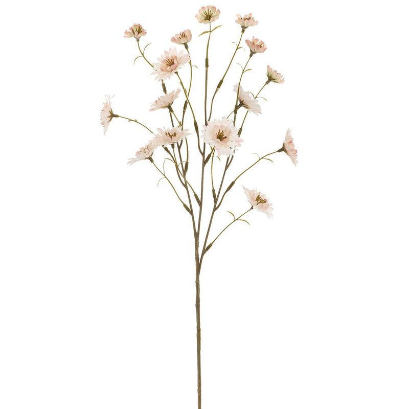 24" Light Pink Primula Spray