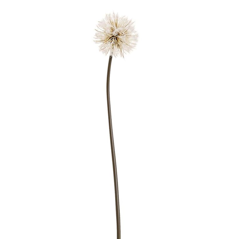 29" Cream Dandelion Spray