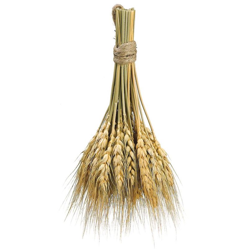 8.2"Natural Preserved Wheat Bundle