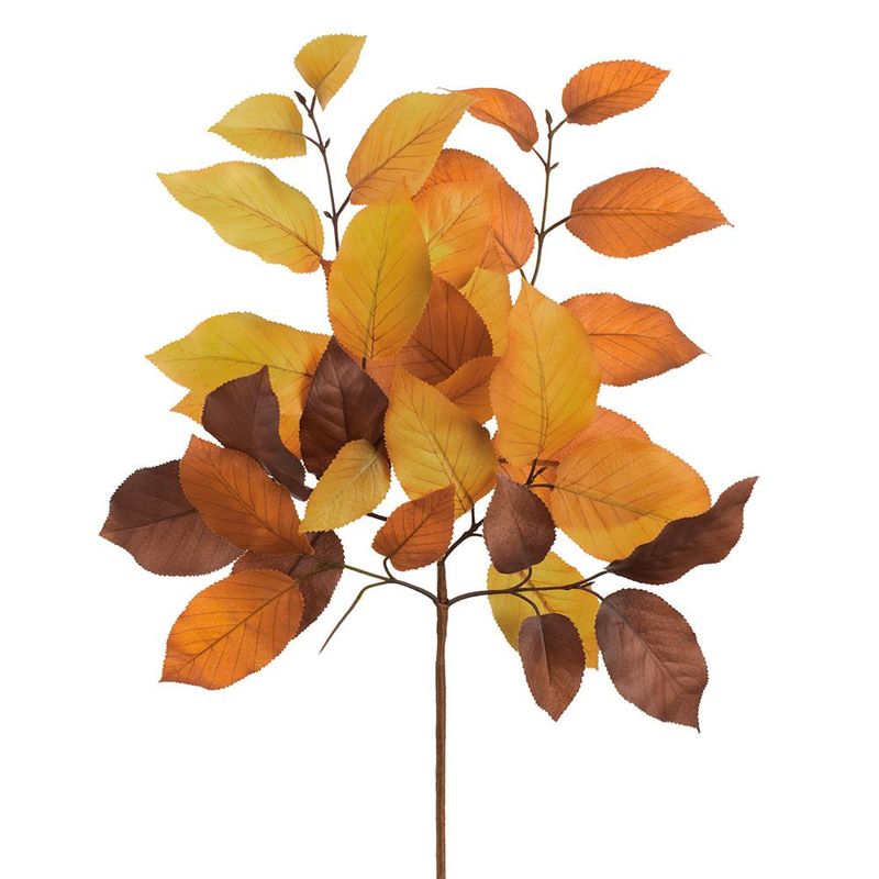 20" Brown Two Tone Salal Leaf Pick