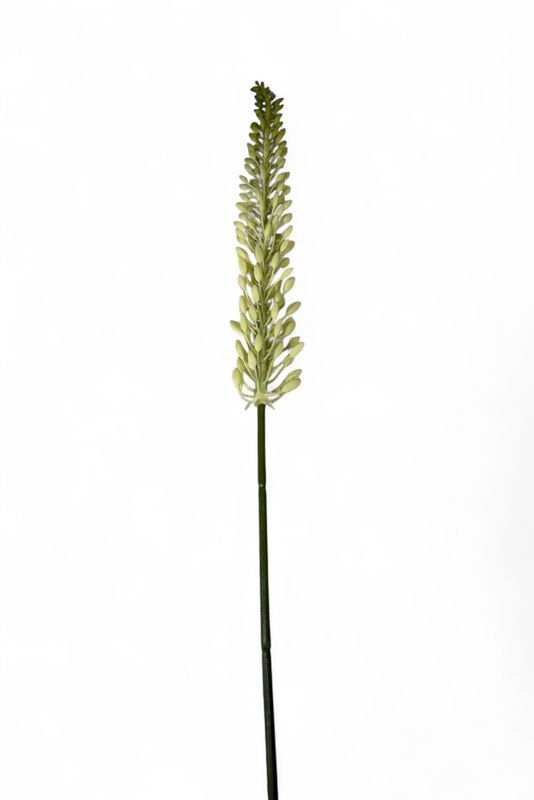 29.5" Green &amp; Cream Foxtail Lily Spray