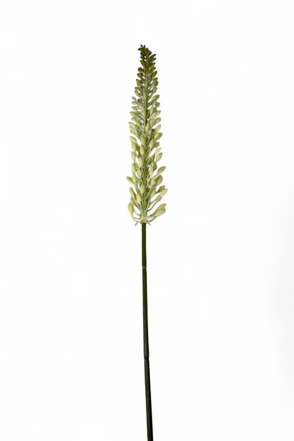 29.5" Green &amp; Cream Foxtail Lily Spray