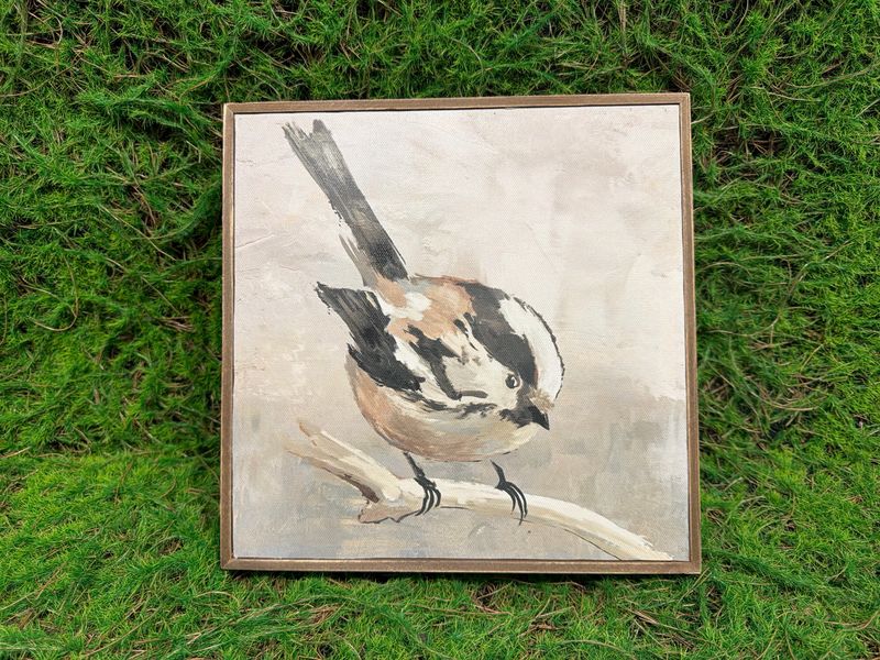 Black &amp; Brown Bird On Branch Canvas