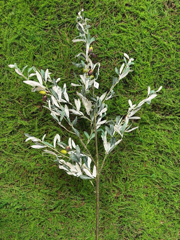 Olive Branch 41"H