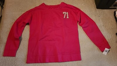 Walt Disney World pink sweatshirt XS
