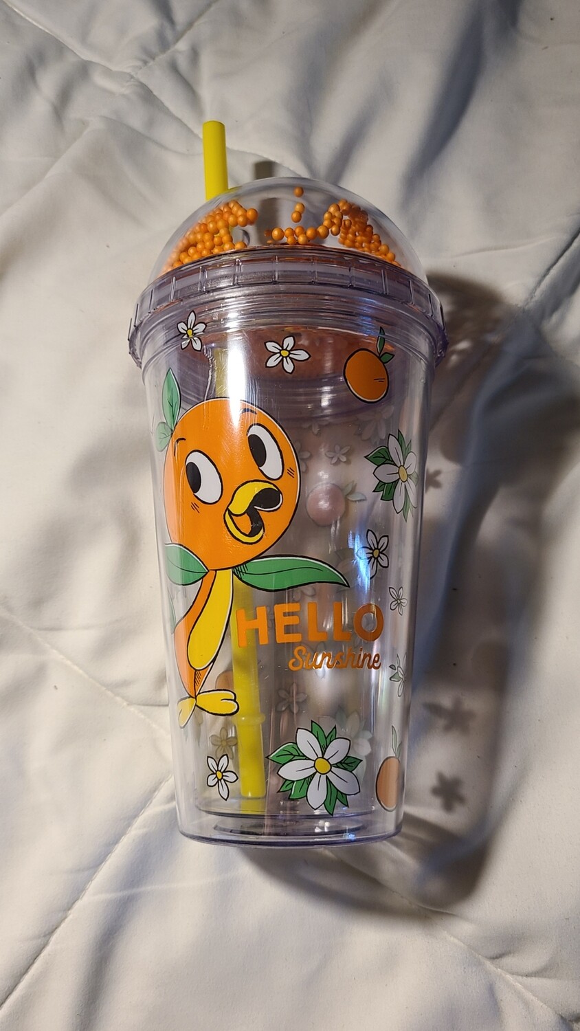Orange Bird Hello Sunshine cup w/ lid &amp; straw