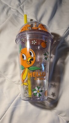 Orange Bird Hello Sunshine cup w/ lid &amp; straw
