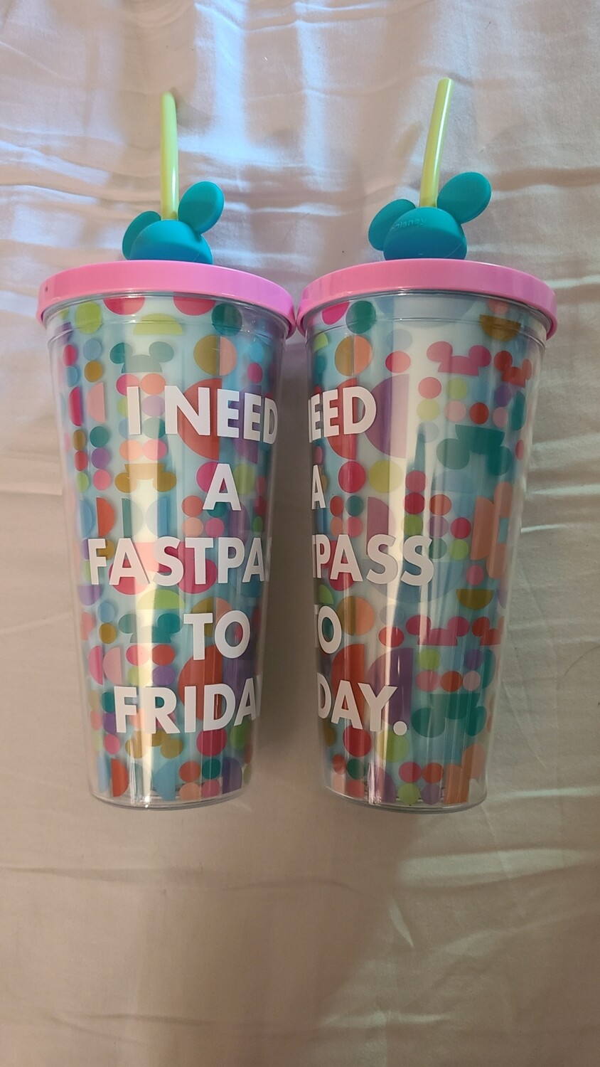 I Need A Fastpass To Friday cup with straw