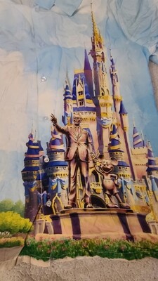 Walt Disney World 50th button shirt XL