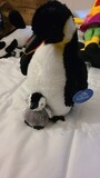 Penguin &amp; Chick plush set