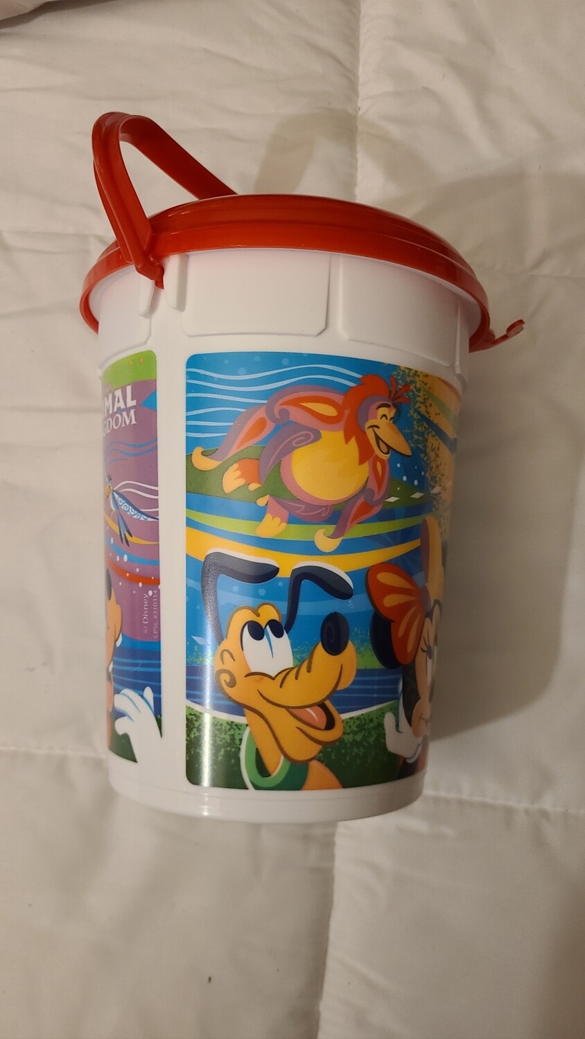 Animal Kingdom Kite Tails popcorn bucket
