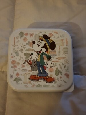 Mickey Mouse plastic dish